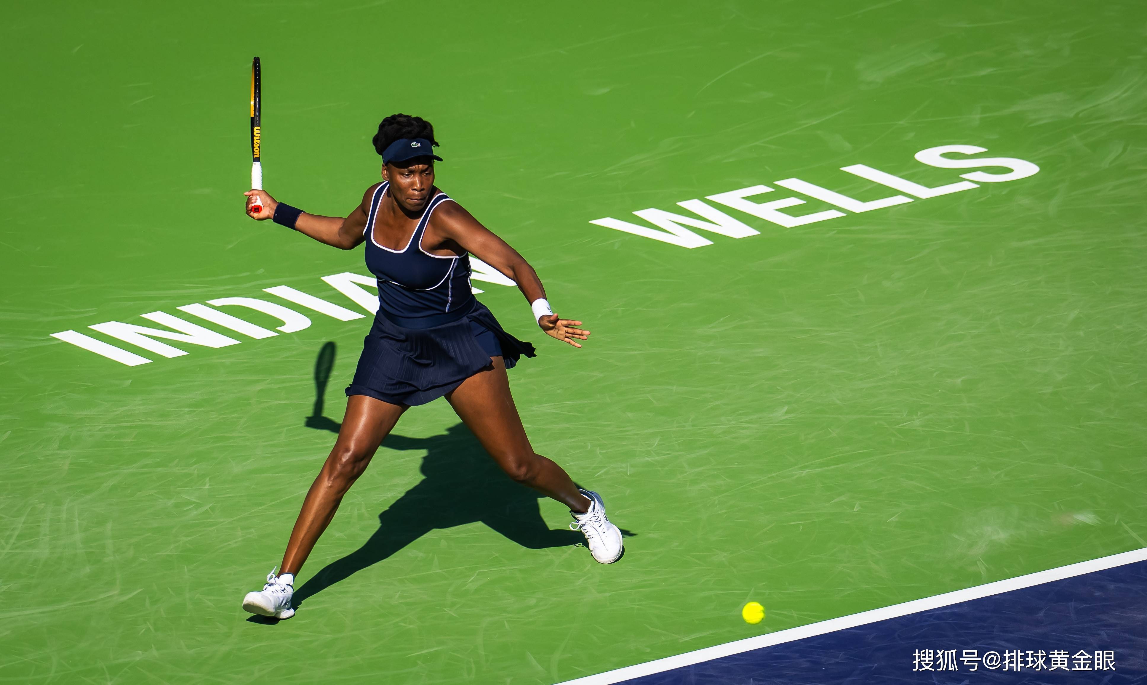 开云彩票 -科维托娃重返赛场，晋级下一阶段首场状态出色，雄鹿观众沸腾！的简单介绍