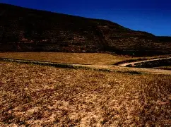 瘚叞Z屲?H豀N沰2N的简单介绍-开云真人体育娱乐